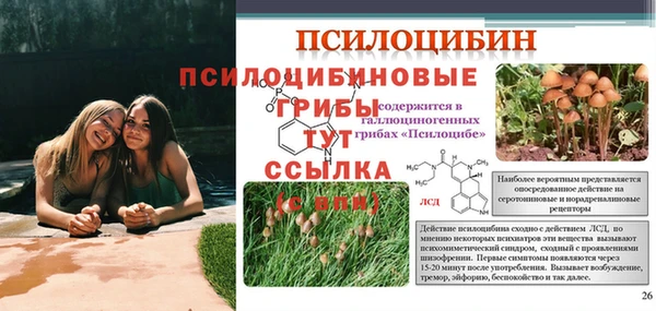 эйфоретик Володарск