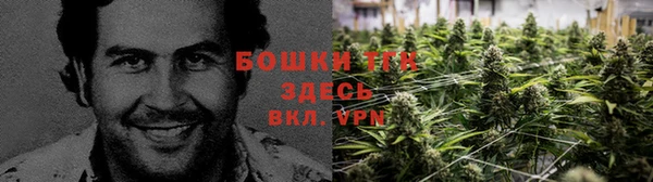 метадон Верея